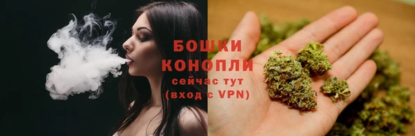 молекула духа Ступино