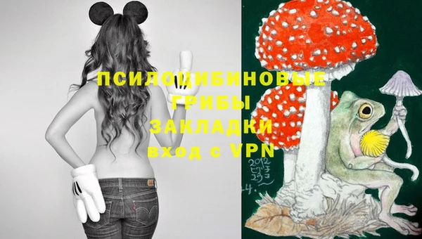 молекула духа Ступино